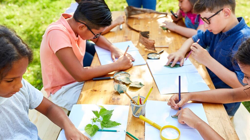 curso-de-verano-141615-1024x576